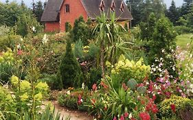 Old Garden